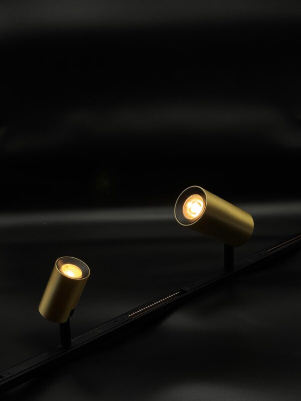 LIVO TRACK 7W - Image 4