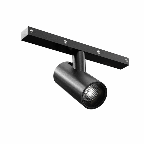 LC10-SPOTLIGHT